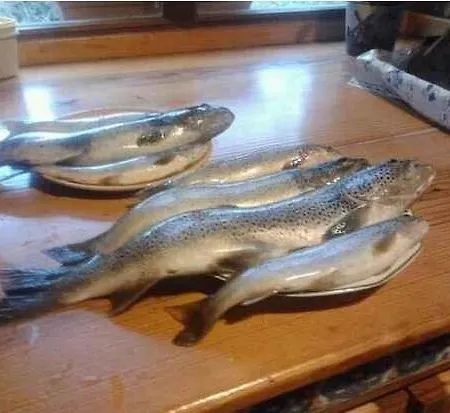 לינה וארוחת בוקר La Casa Del Valle