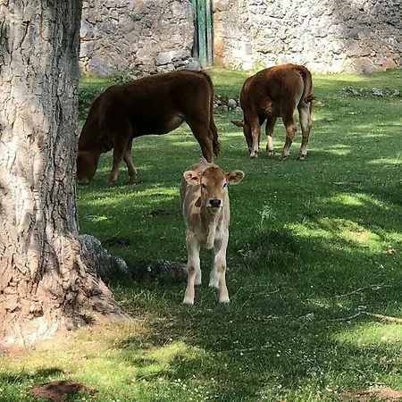 La Casa Del Valle Отель типа 