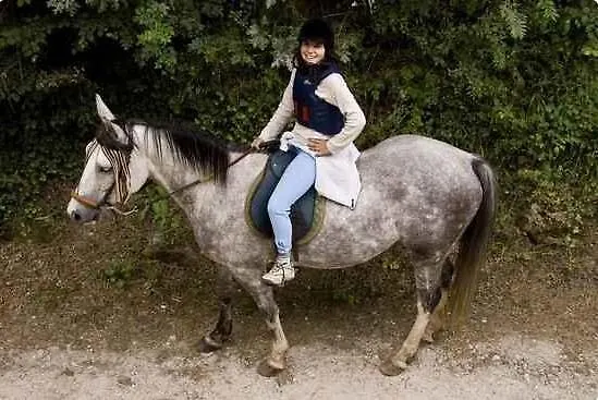 La Casa Del Valle * Ailanes