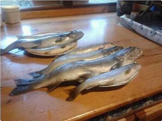 Nocleg ze śniadaniem La Casa Del Valle