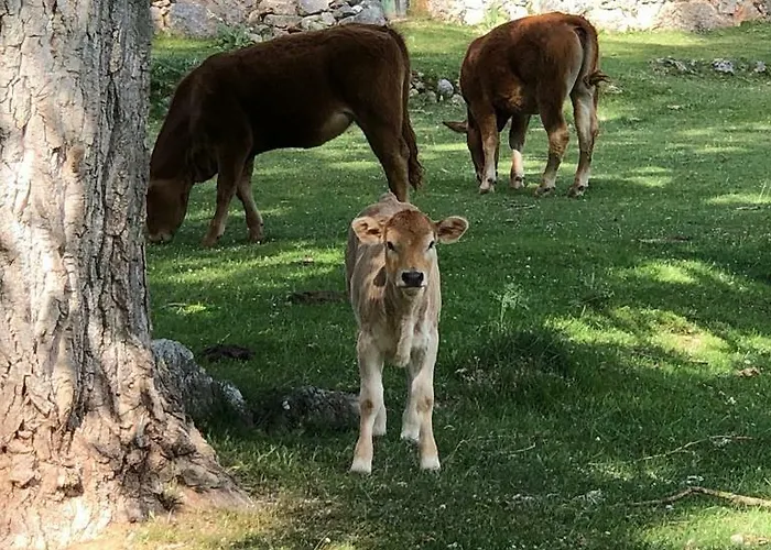 La Casa Del Valle Nocleg ze śniadaniem